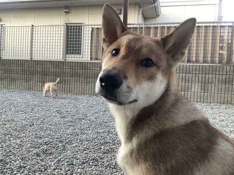 2C21EB96-89F3-4E3D-99B3-CB713C137CD0