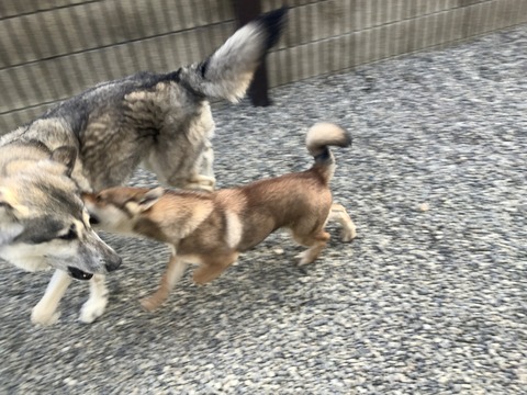 4CCB569A-0256-41D8-96B9-CD4A5CB773DF