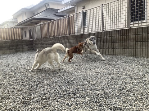 0572311E-EE2F-421D-A860-14D486434F0F