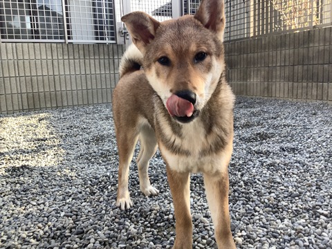 D5096A73-4B20-414C-8FEB-BD4D2D877970