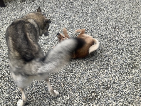 34A1DE39-C9DE-48B6-BBF1-F8948DB6B7A9