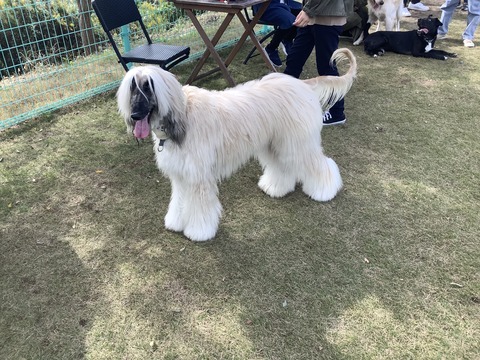 682FD9CF-9029-40A0-8BAE-2185C5E44734