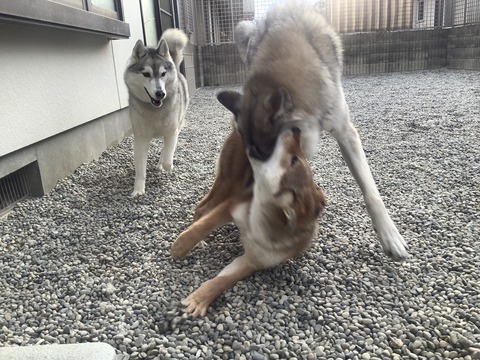 A4B0F9EC-4FFF-4717-9ABA-C300B1BA4CCB