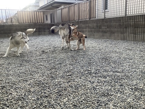 1511A507-923F-431B-9CBB-7B50C979C335