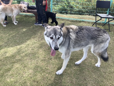 2912734C-BFC2-46EF-BEA3-66991C7794AA