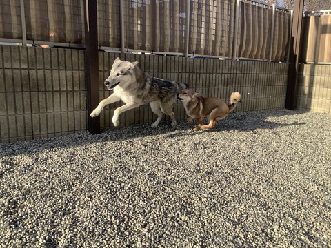 7F43196E-4C8B-4B92-8971-973F1C90F133