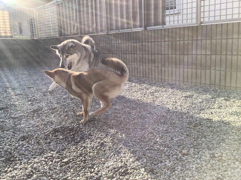 E61BBF57-1392-46C3-A981-7C9B4E71FD1F