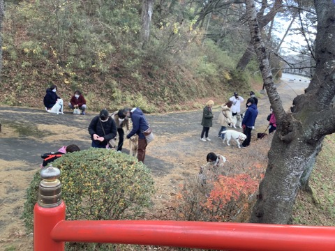 33654B7C-7253-4BBC-8449-00D5FF2F9667