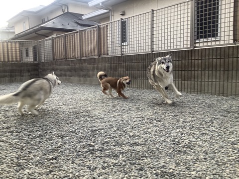 8D402C9A-5D89-4F9E-B83E-0C432D260ECE