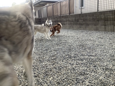 701424BF-A21F-42C4-8898-5BFE07B01A32