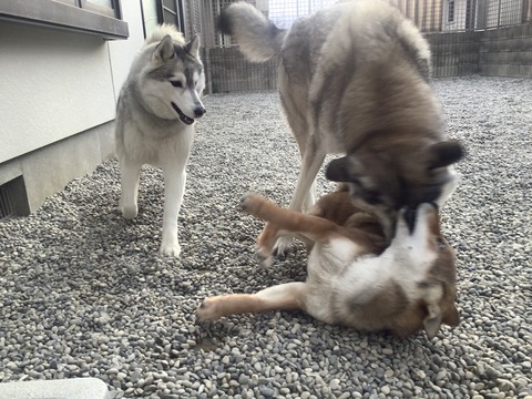 8A2FB40B-6055-4FEE-8D89-C9CCC59157D8