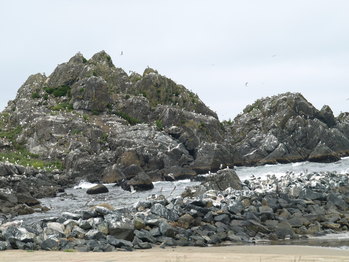 P6156227