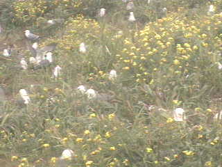 GetStillImage2011061154