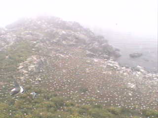 GetStillImage20110611250