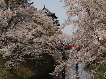 P5020012