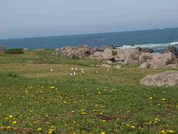 P5152258