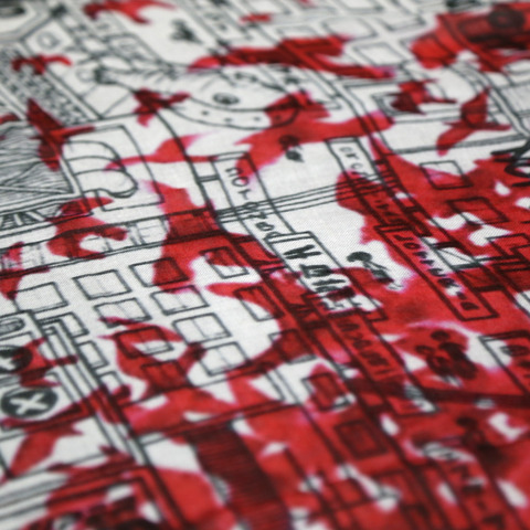 IMG_9971 - コピー