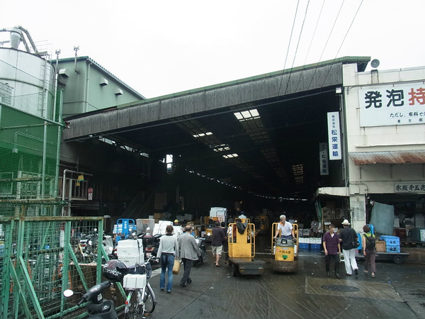 RIMG7803*.JPG