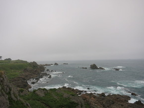 IMG_6458
