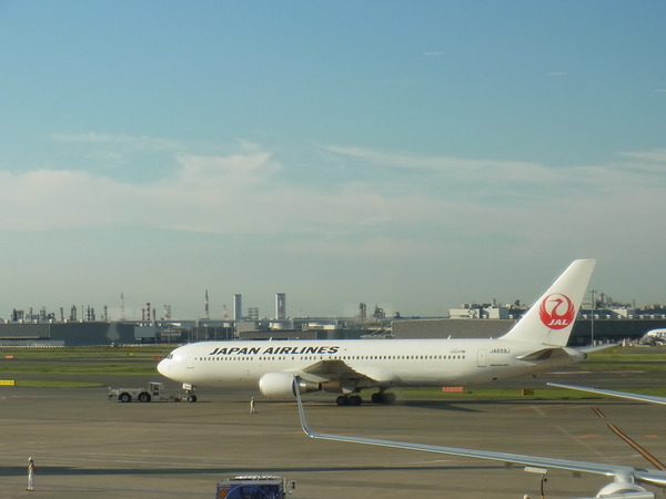 RIMG9518