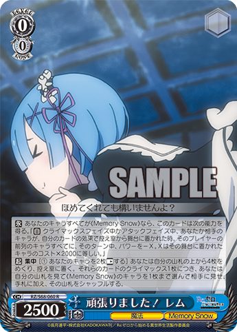 rz_s68-060_r
