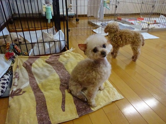20020102