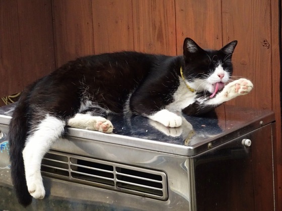 20072505