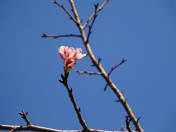 20101505