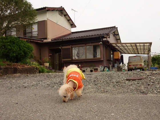 20100503