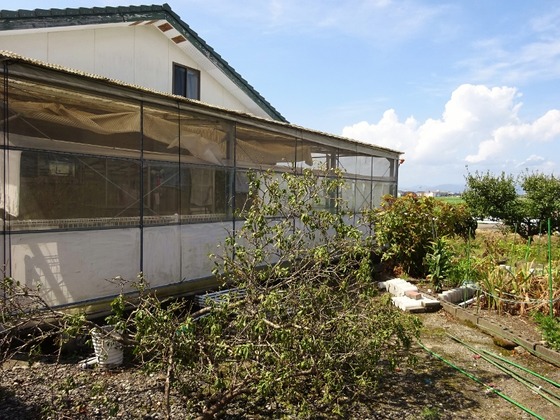 20090301