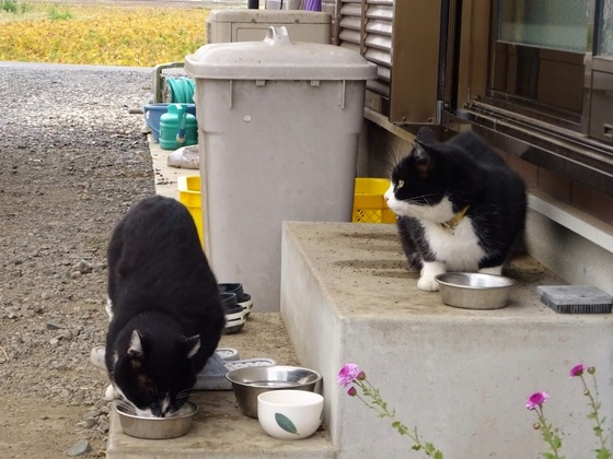 20110701