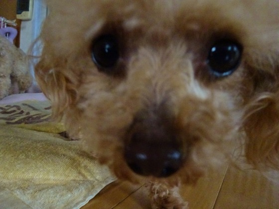 20060305