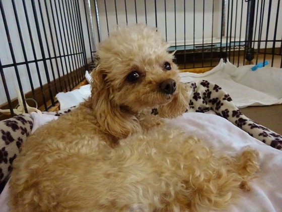 20082701