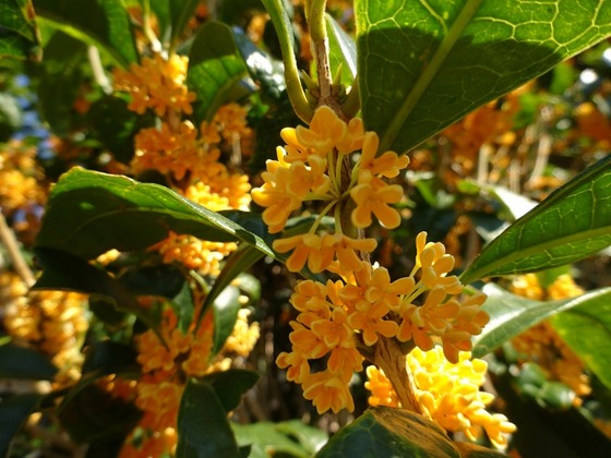 20101504