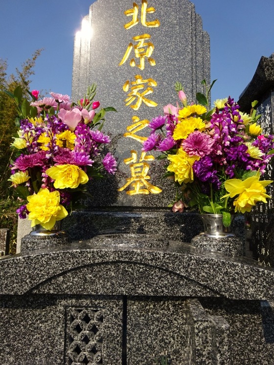 20031805