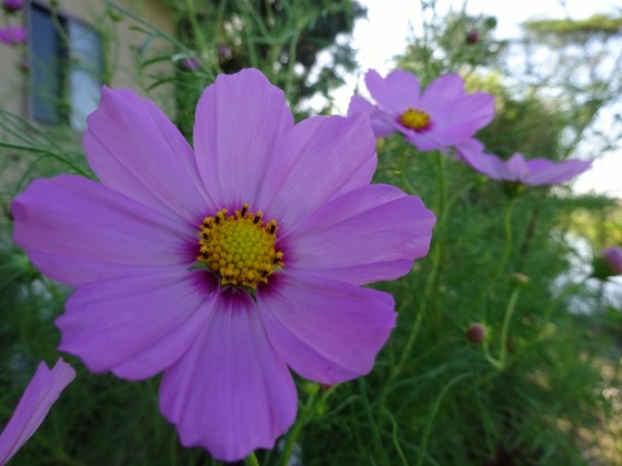 20100503