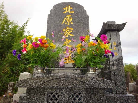 20101204