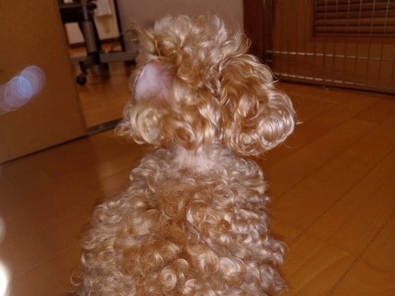 20031103