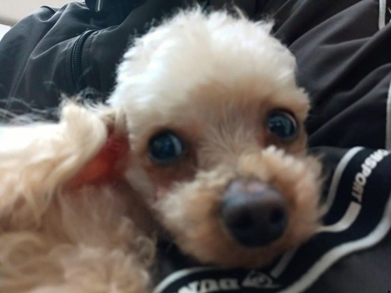 20030704