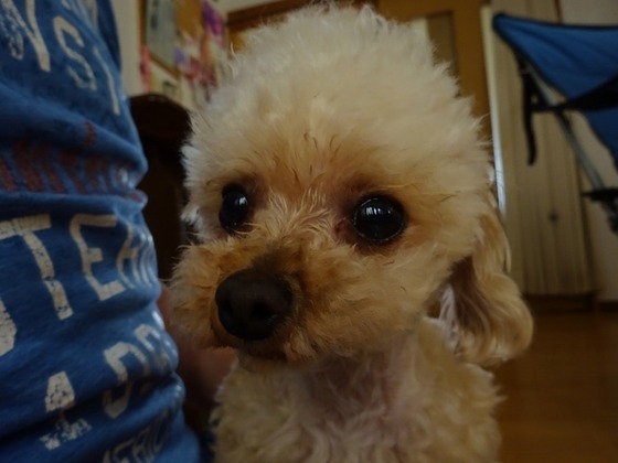20060404