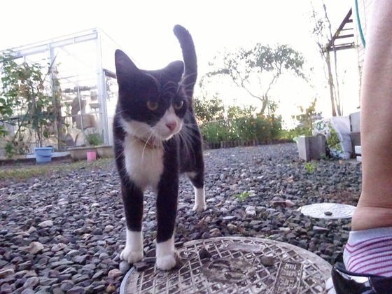 20081002