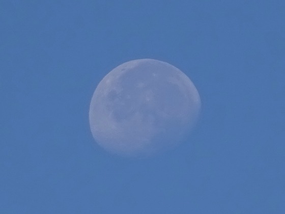 20100601