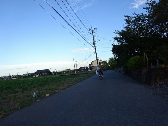20082606