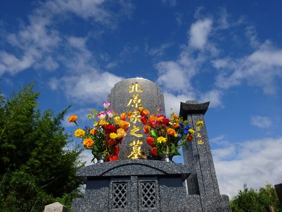 20081202