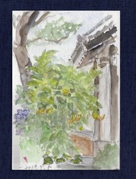 t_20190705 中島総社 ブログat_img332