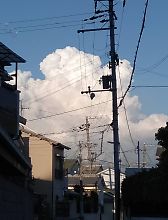 202008