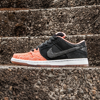 Nike_SB_FA15_Premier_DUNK_lat-IG