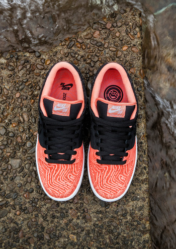 Nike_SB_FA15_Premier_DUNK_top-IG