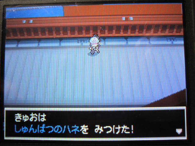 ハネ拾えるの知らなかった ポケモンブラック 戦闘ゆう子のゲーム漬け生活ふぁみーず編 仮 ハネ拾えるの知らなかった ポケモンブラック 戦闘ゆう子のゲーム漬け生活ふぁみーず編 仮