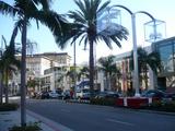 Rodeo Drive 1